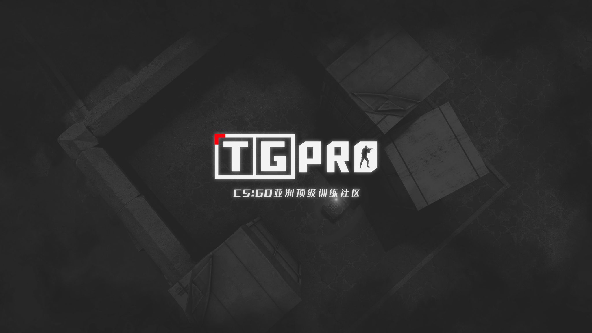 torrent tg pro